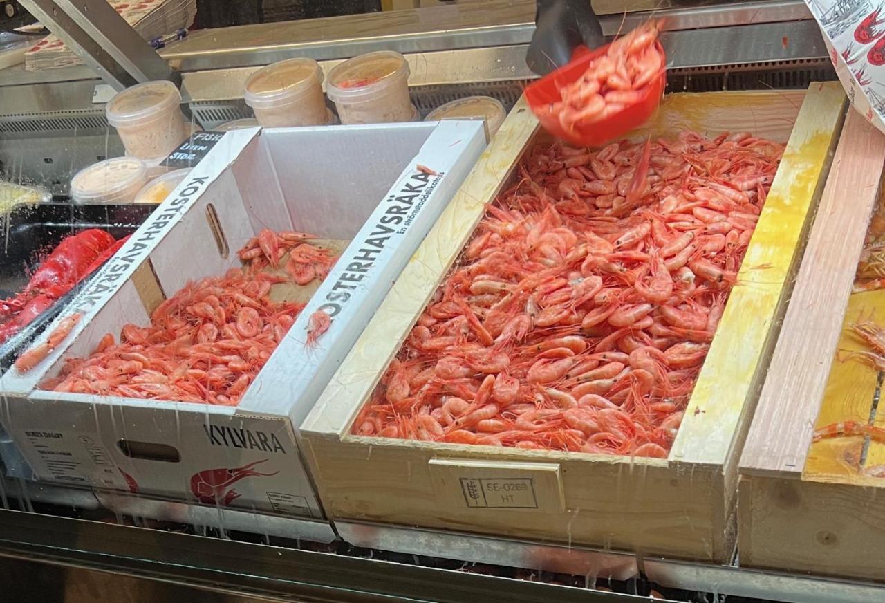 Stroemstad Laegenhet Naera Hav Och Stad 외부 사진